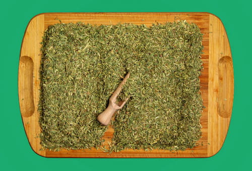 ترخون خشک مرغوب با بسته‌ بندی بهداشتی